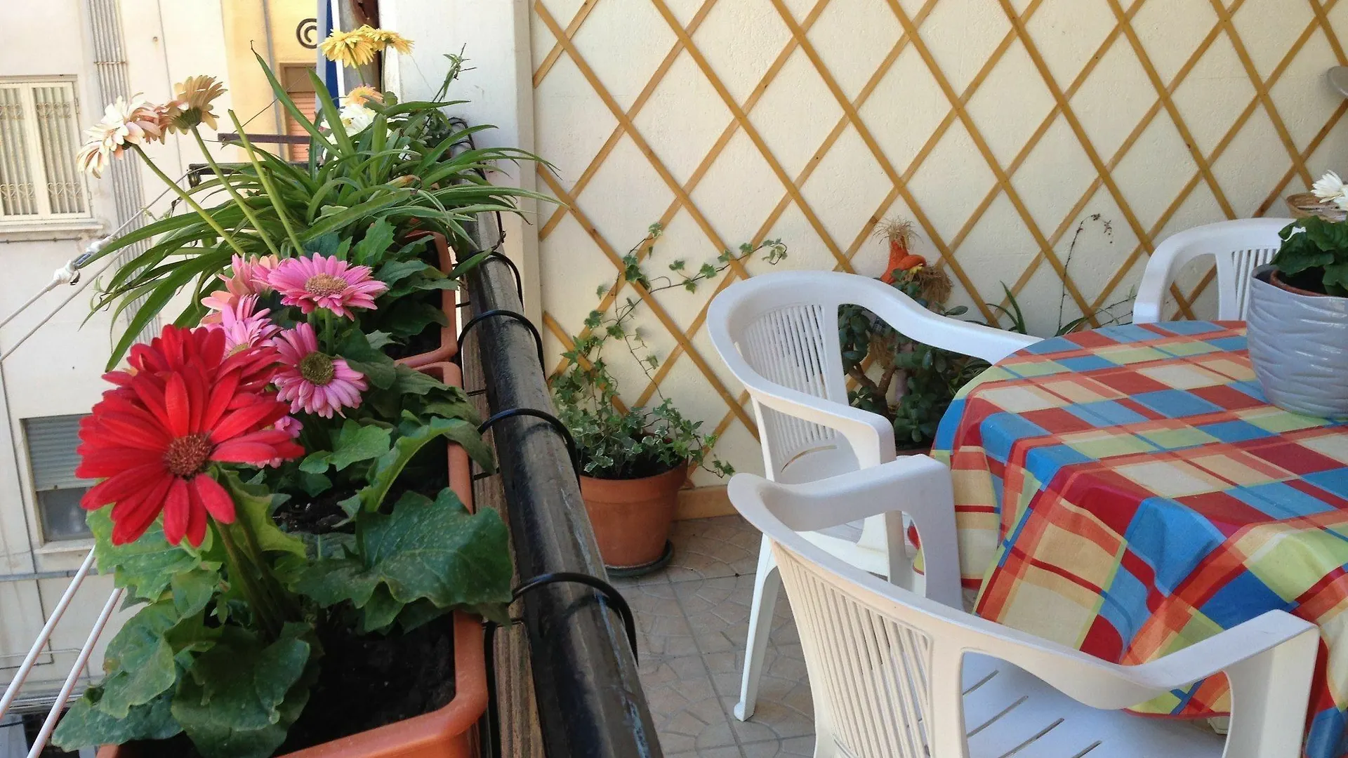 B&B Soleluna Della Solidarieta Palermo Bed & Breakfast